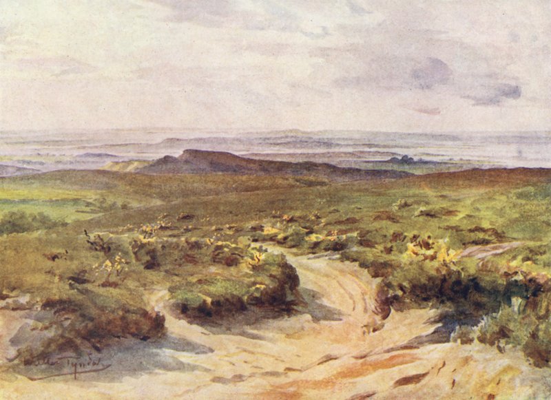 Wessex: Studland Heath, Poole Harbour i fjärran (färglitografi) av Walter Frederick Roofe Tyndale
