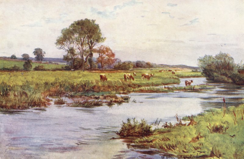 Wessex: Frome ovanför Dorchester, Casterbridge (färglitografi) av Walter Frederick Roofe Tyndale