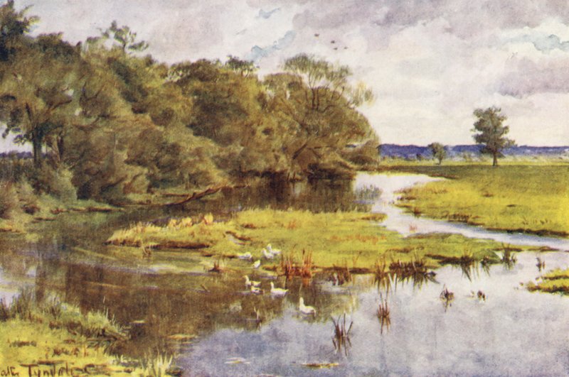 Wessex: Frome från Bockhampton Bridge (färglitografi) av Walter Frederick Roofe Tyndale