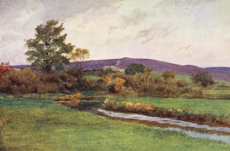 Wessex: "Rainbarrow" i samband med "the Return of the Native" (färglitografi) av Walter Frederick Roofe Tyndale