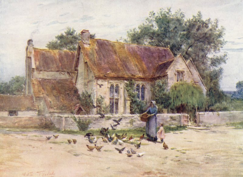 Wessex: Skogsområden nära Mere, Wilts (färglitografi) av Walter Frederick Roofe Tyndale