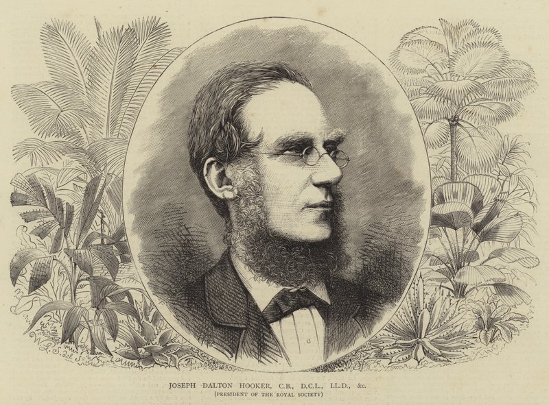 Joseph Dalton Hooker, CB, DCL, LLD, etc. av Walter Granville Smith