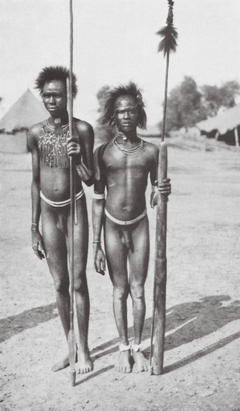 Stäppbor i övre delen av Nilen (svartvitt foto) av Walter Mittelholzer
