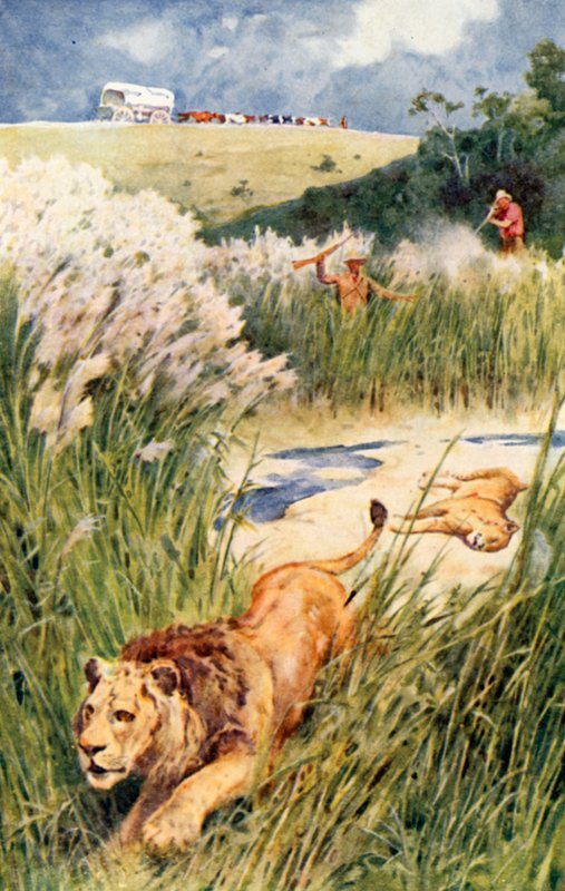 Partiets boer tog modigt itu med ett lejon och en lejoninna av Walter Stanley Paget