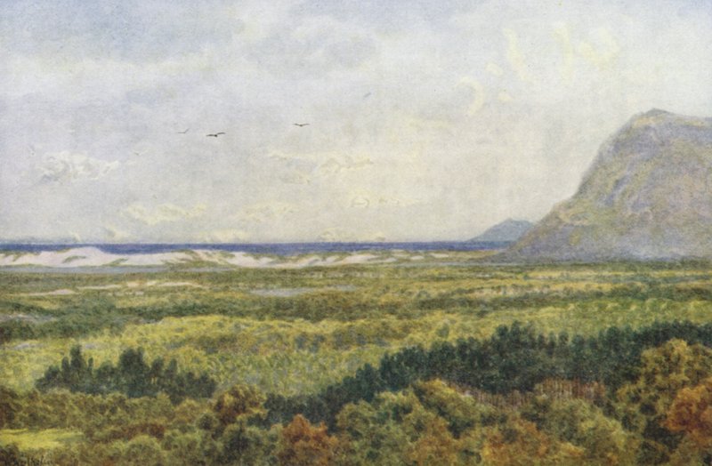 Constantia Valley och False Bay, med Cape Point (färglitografi) av Wilhelm Westhofen