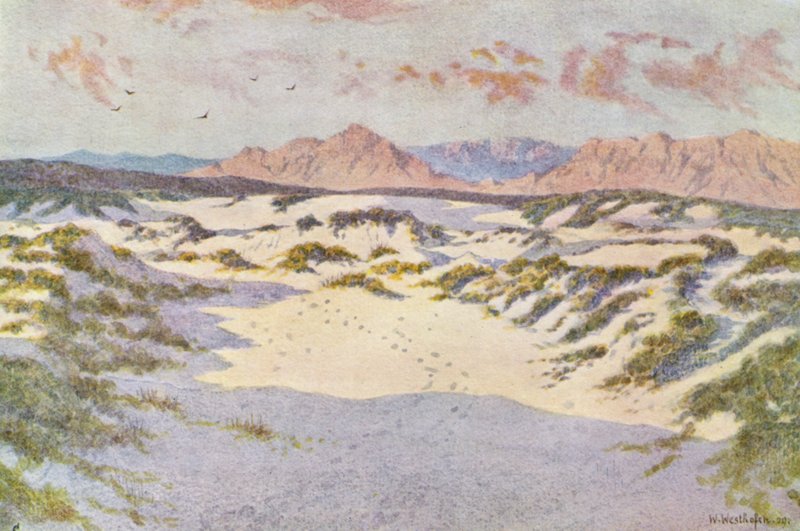 På sandåsarna nära Muizenberg (färglitografi) av Wilhelm Westhofen