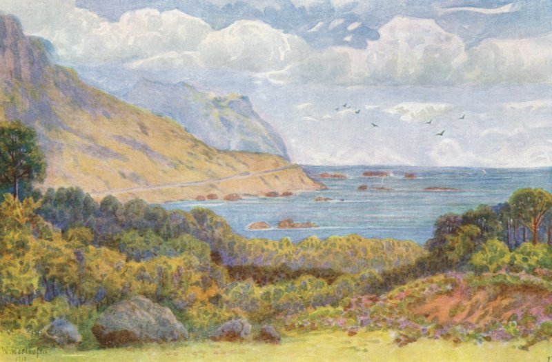 På Victoria Road, nära Oude Kraal (färglitografi) av Wilhelm Westhofen