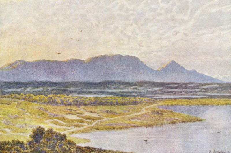 Taffelberget från Retreat Flats (färglitografi) av Wilhelm Westhofen