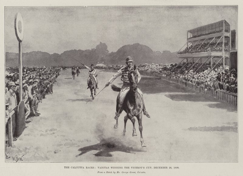 The Calcutta Races, Vanitas vann Viceroy