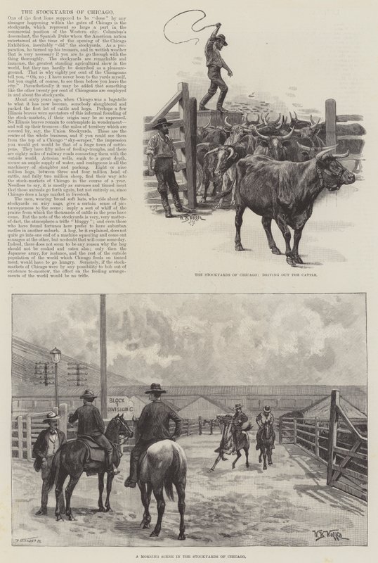 Stockyards of Chicago av William Barnes Wollen