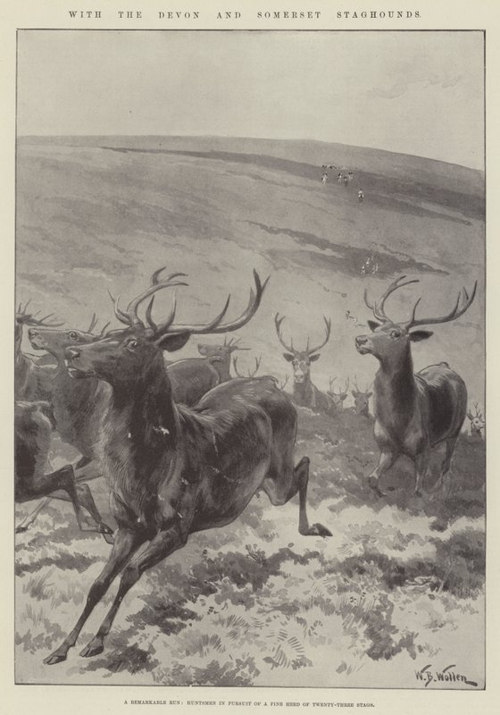 Med Devon och Somerset Staghounds av William Barnes Wollen