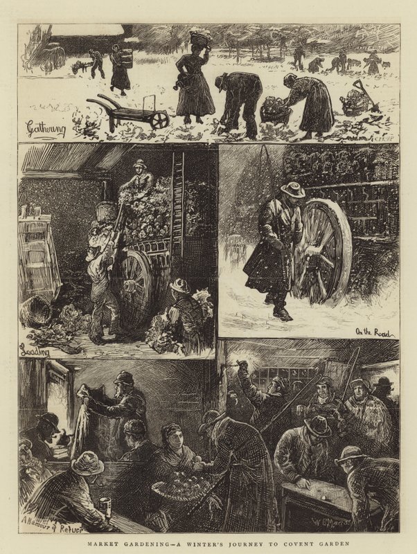 Market Gardening, en vinterresa till Covent Garden av William Bazett Murray