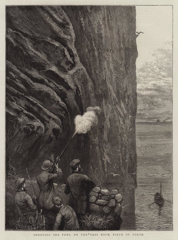 Att skjuta sjöfåglar på Bass Rock, Firth of Forth av William Bazett Murray