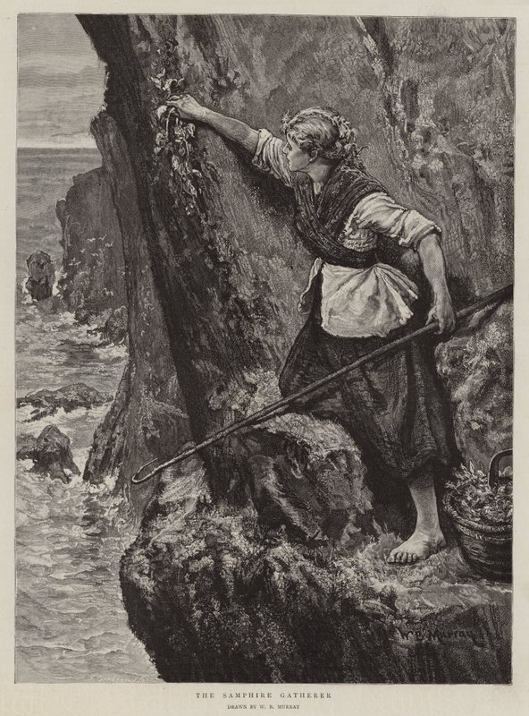 Samphire Gatherer av William Bazett Murray