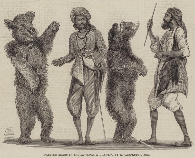 Dansande björnar i Indien av William Carpenter