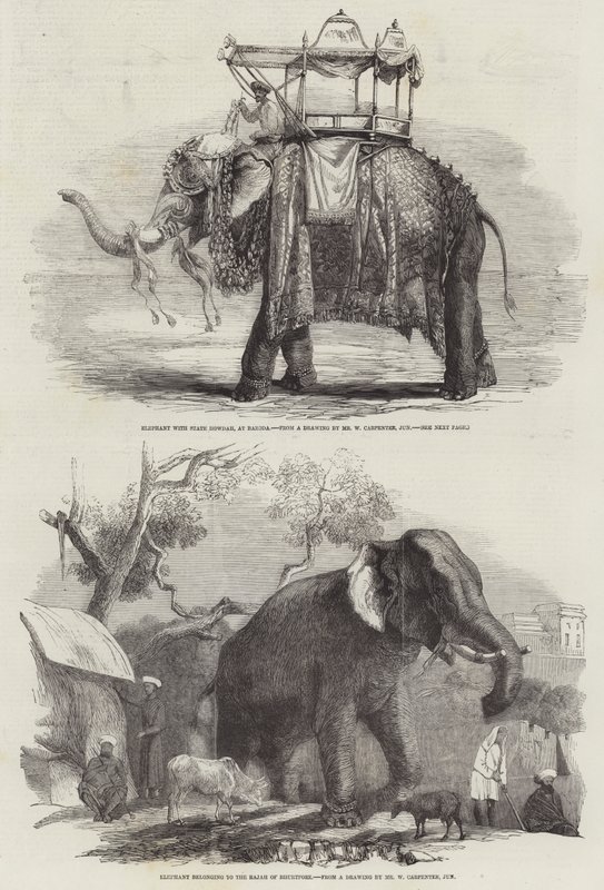 Indiska elefanter av William Carpenter