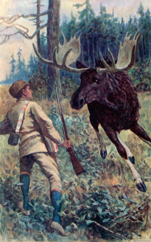 Älgen sprang mot honom av William Henry Charles Groome