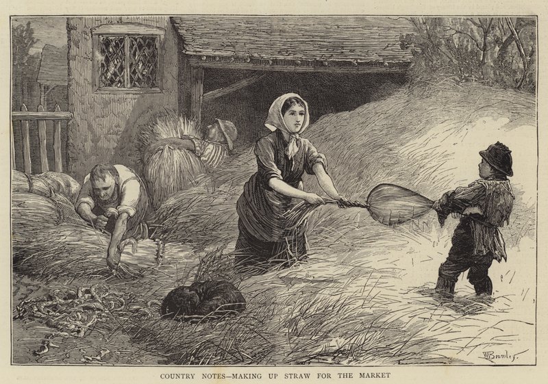 Country Notes, som utgör Straw for the Market av William III Bromley
