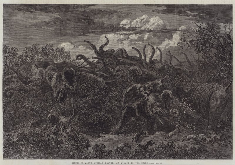 Scener från resor i Sydafrika, en attack i natten av William James Linton