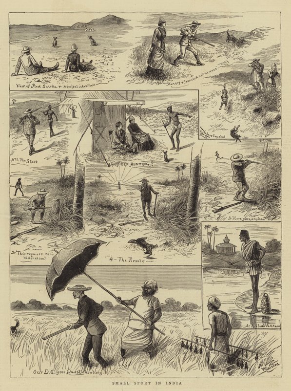 Liten sport i Indien av William Ralston