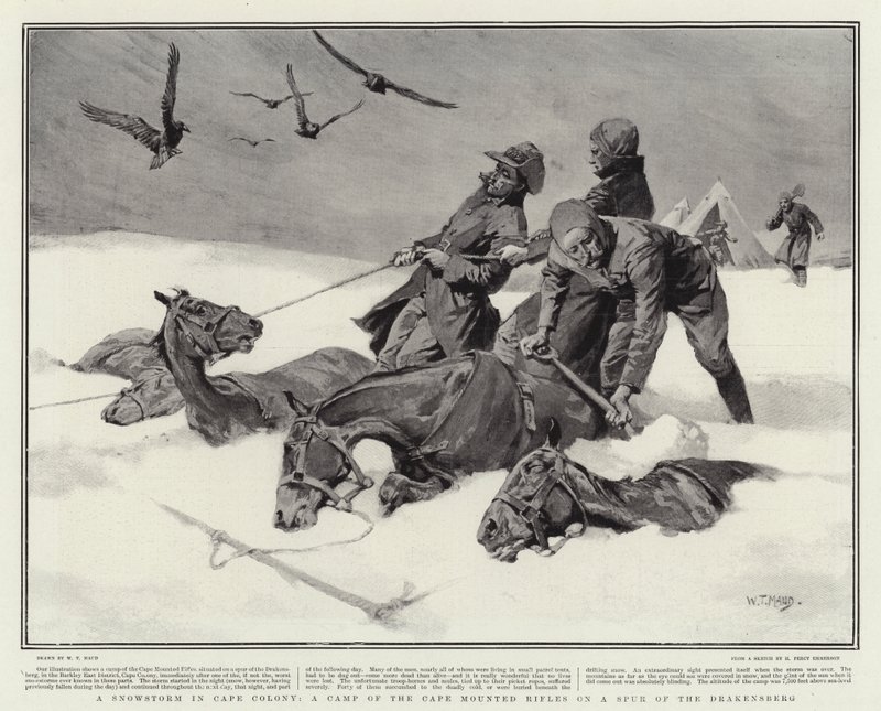 En snöstorm i Cape Colony, ett läger med Cape Mounted Rifles på en sporre av Drakensberg av William T. Maud