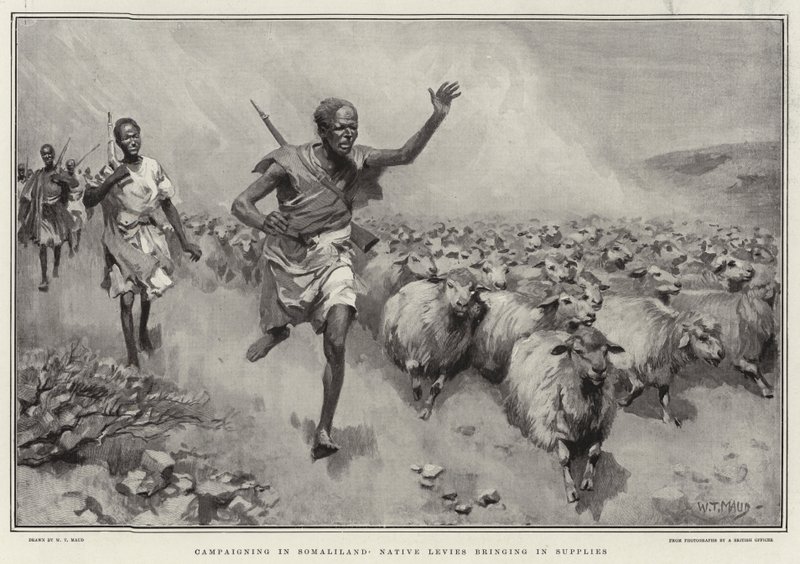 Kampanjer i Somaliland Infödda avgifter som tar in förnödenheter av William T. Maud