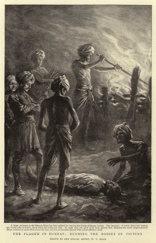 Pesten i Bombay, bränning av offrens kroppar av William T. Maud