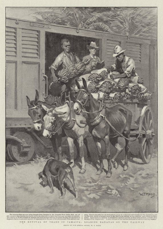 Återupplivning av handeln på Jamaica, lastning av bananer på järnvägen av William T. Maud