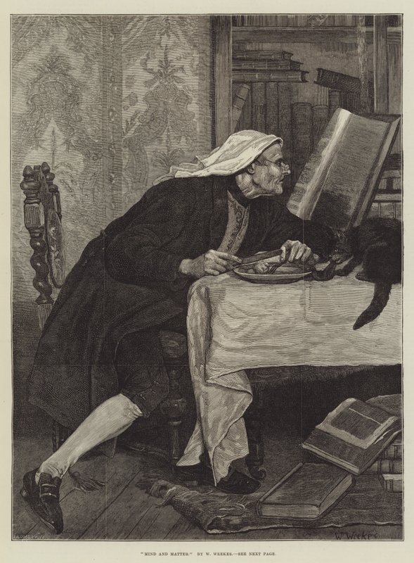 Sinne och materia av William Weekes