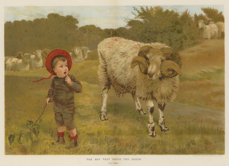 Pojken som drev fåren (kromolit) av William Weekes