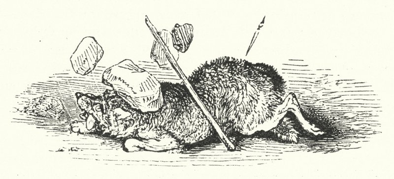 Vargens död (gravyr) av William (after) Harvey