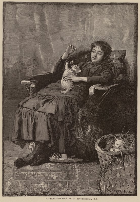 Kattungar (gravyr) av William (after) Hatherell
