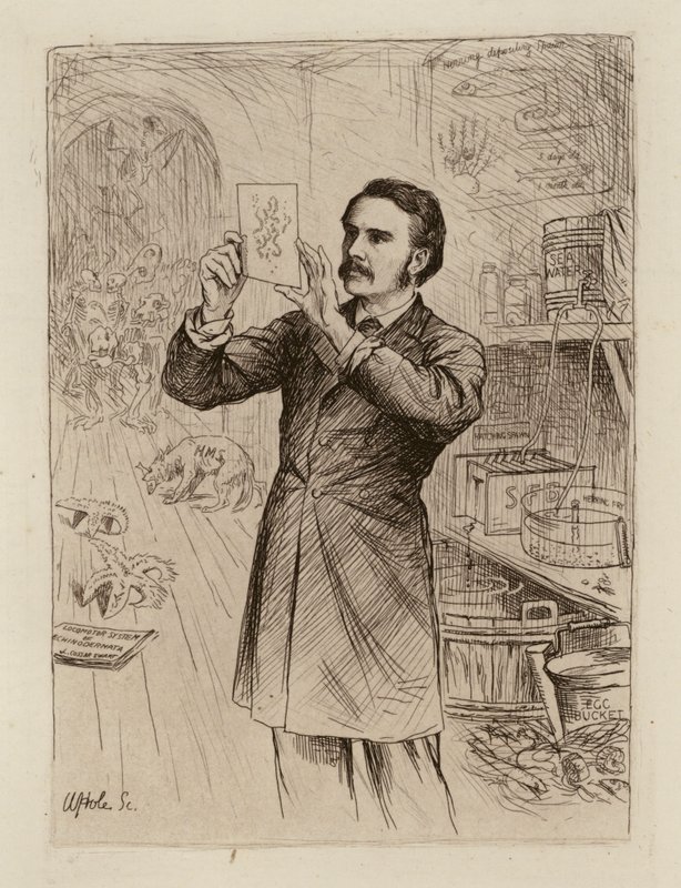 James Cossar Ewart, professor i naturhistoria (gravyr) av William Brassey (after) Hole