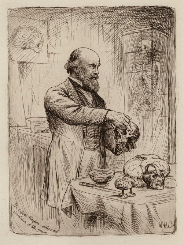 William Turner, professor i anatomi (gravyr) av William Brassey (after) Hole