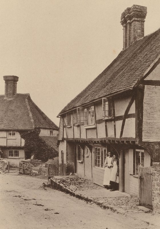 Vid Byworth, nära Petworth, Sussex (svartvitt foto) av William Galsworthy Davie