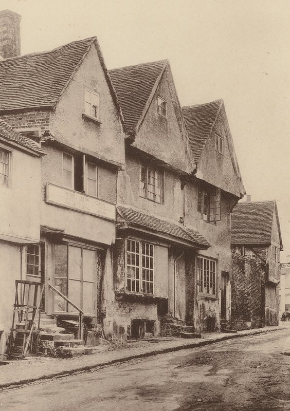 Vid Midhurst, West Sussex (svartvitt foto) av William Galsworthy Davie