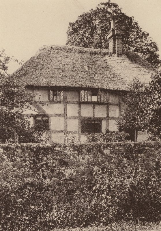 Vid West Burton, West Sussex (svartvitt foto) av William Galsworthy Davie