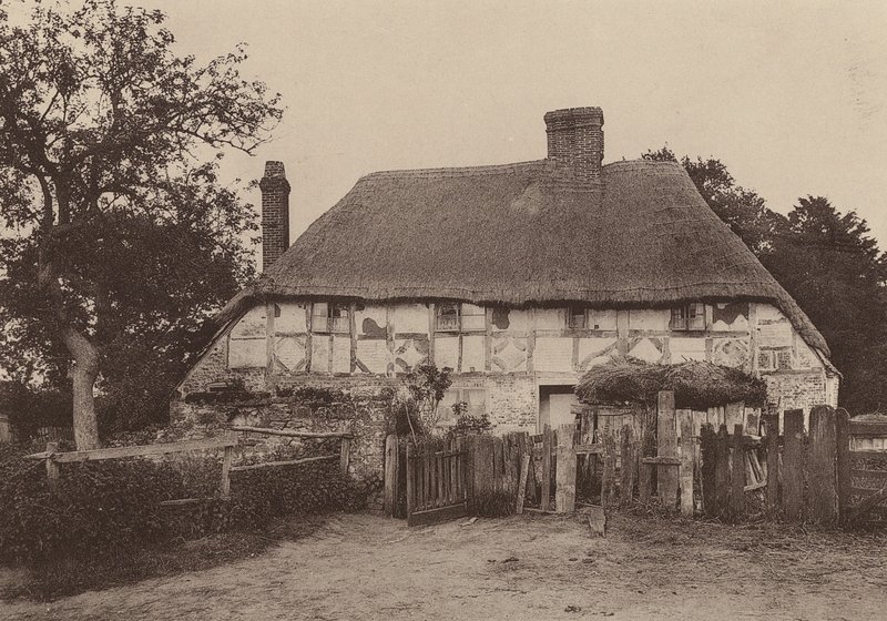 Nära Fittleworth, West Sussex (svartvitt foto) av William Galsworthy Davie