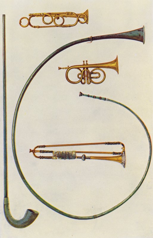 Musikinstrument: Lituus och Buccina, kornett, trumpeter (färglitografi) av William Gibb