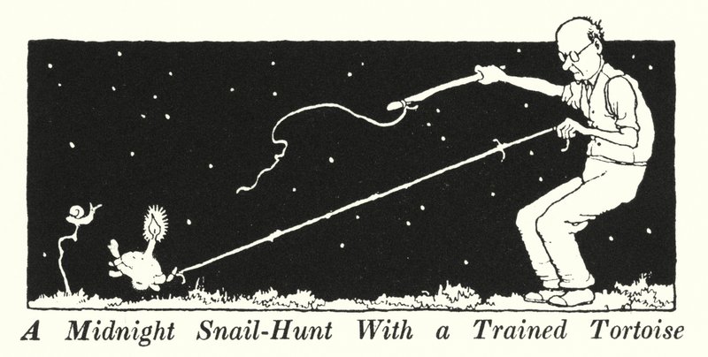 En midnattssnigeljakt med en tränad sköldpadda (litho) av William Heath Robinson