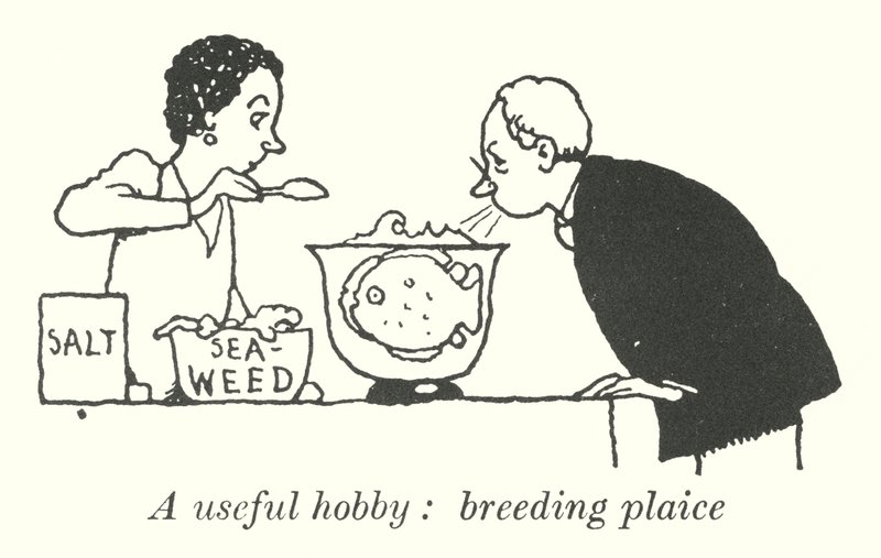 En användbar hobby, uppfödning av rödspätta (litho) av William Heath Robinson
