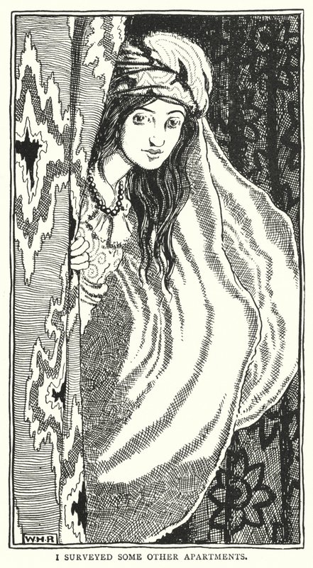Jag undersökte några andra lägenheter (gravyr) av William Heath Robinson
