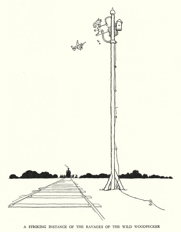 Illustration för Railway Ribaldry av W Heath Robinson (litho) av William Heath Robinson