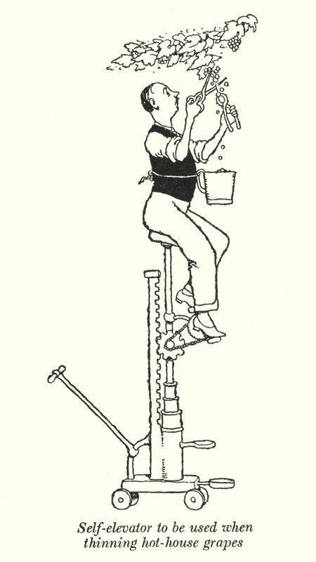 Självhiss för att användas vid gallring av växthusdruvor (litho) av William Heath Robinson