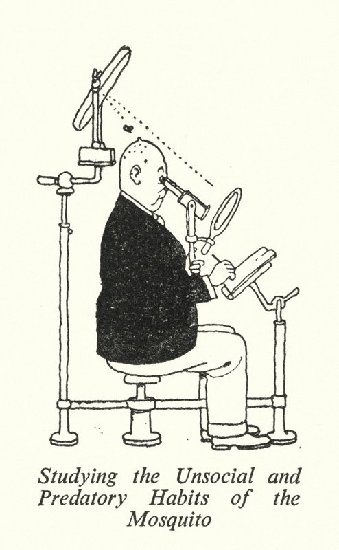 Att studera myggans osociala och rovdjursvanor (litho) av William Heath Robinson