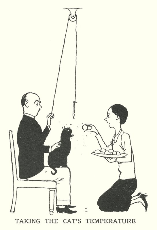 Ta kattens temperatur (litho) av William Heath Robinson