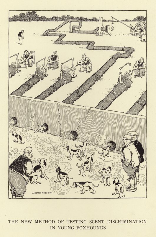 Den nya metoden för att testa doftdiskriminering hos unga rävhundar av William Heath Robinson