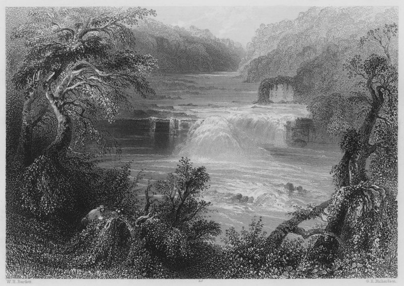 Laxsprång vid Leixlip (gravyr) av William Henry (after) Bartlett