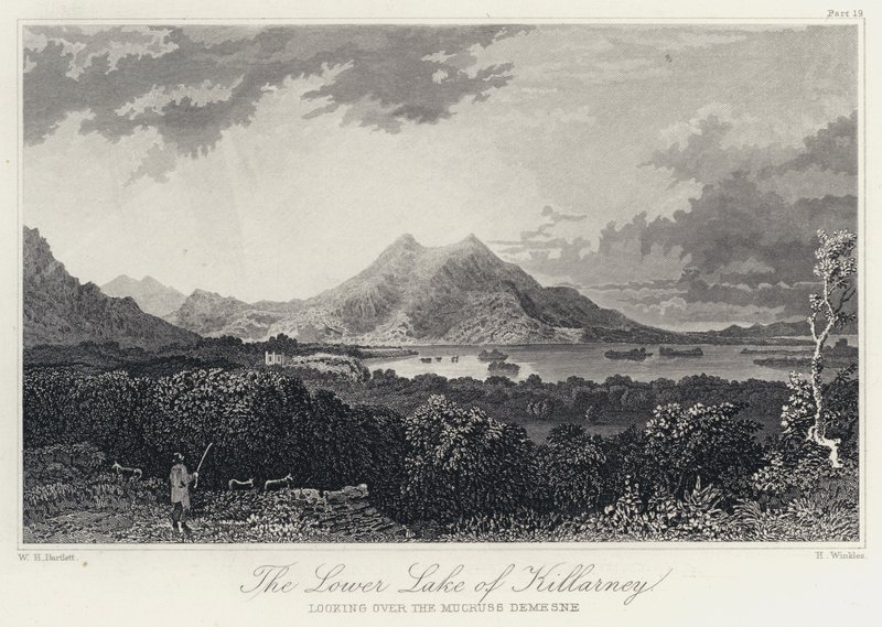 The Lower Lake of Killarney, med utsikt över Mucruss Demesne (gravyr) av William Henry Bartlett