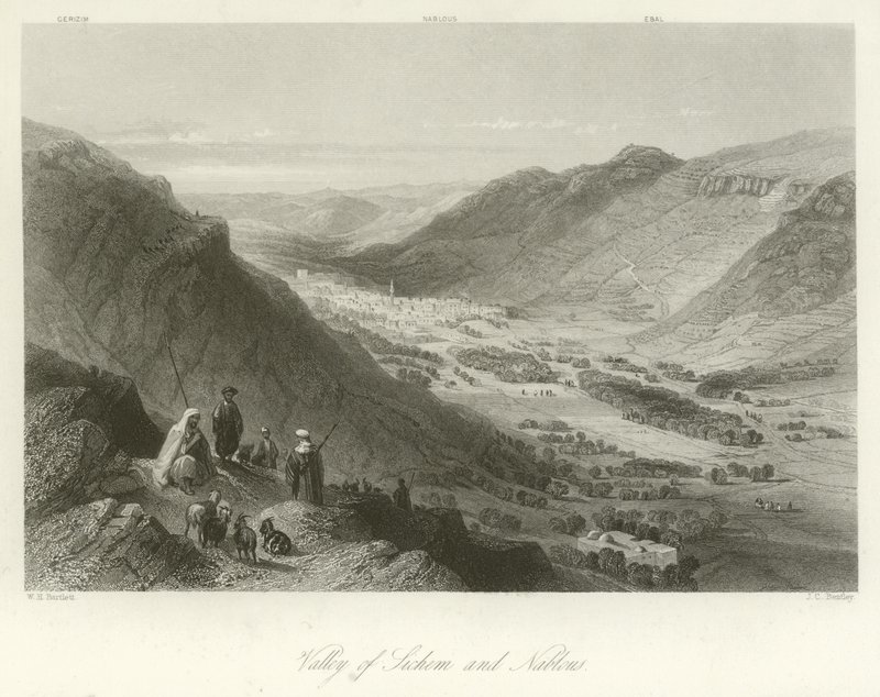 Sichem-dalen och Nablus, Palestina av William Henry Bartlett